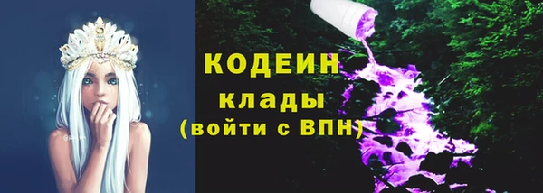 дмт Тавда