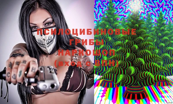 дмт Тавда