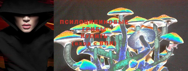экстази Богородицк